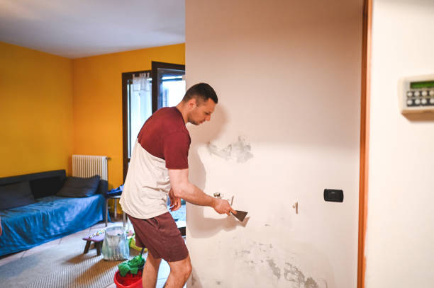 Best Black Mold Remediation in Chimayo, NM